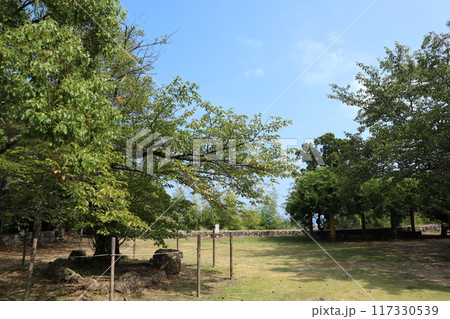 国指定史跡 新宮城跡(和歌山県新宮市) 国指定史跡 新宮城跡(和歌山県新宮市) 117330539