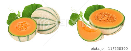 Cantaloupe melon isolated on white background with full depth of field, 117330590