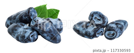 Fresh honeysuckle blue berry isolated on white background with full depth of field 117330593