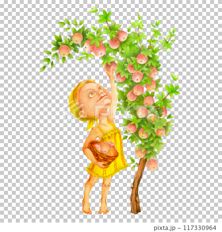Girl picking ripe fruits from apple tree in orchard. Happy teenage farmer collecting apples in countryside garden, holding a basket in her hand. Harvest time. Watercolor illustration isolated on white 117330964