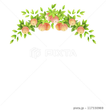 Semicircular frame or border of apple tree branches with leaves and fruits. Harvest time. Watercolor isolated composition for wedding prints design, accessories, garden banners decoration, postcards 117330969