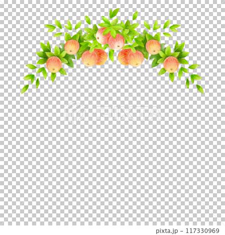 Semicircular frame or border of apple tree branches with leaves and fruits. Harvest time. Watercolor isolated composition for wedding prints design, accessories, garden banners decoration, postcards 117330969