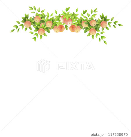 Harvest time. Top frame or border of apple tree branches with leaves and fruits. Watercolor isolated composition for countryside wedding prints design, accessories, garden banners decoration, postcard Harvest time. Top frame or border of apple tree branches with leaves and fruits. Watercolor isolated composition for countryside wedding prints design, accessories, garden banners decoration, postcard 117330970