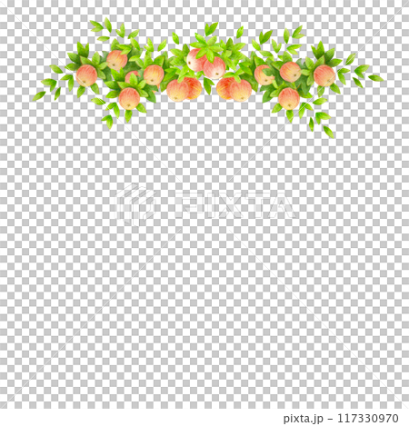 Harvest time. Top frame or border of apple tree branches with leaves and fruits. Watercolor isolated composition for countryside wedding prints design, accessories, garden banners decoration, postcard Harvest time. Top frame or border of apple tree branches with leaves and fruits. Watercolor isolated composition for countryside wedding prints design, accessories, garden banners decoration, postcard 117330970