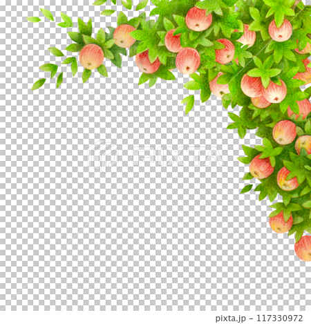 Apple tree branch corner arrangement. Frame or border with hand drawn leaves and fruits isolated on white. Design element for creating wedding cards and invitation. Watercolor background for banners Apple tree branch corner arrangement. Frame or border with hand drawn leaves and fruits isolated on white. Design element for creating wedding cards and invitation. Watercolor background for banners 117330972