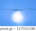 水面イメージの素材 117331186