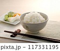美味しそうなお米　炊き立てご飯 117331195