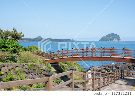 Seogwipo Jaguri Park seascape in Jeju island, Korea Seogwipo Jaguri Park seascape in Jeju island, Korea 117331231