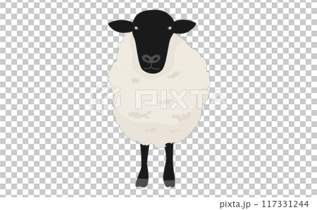 一匹のサフォーク種の羊の正面イラスト 117331244