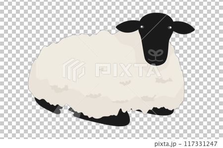 Illustration of a sitting Suffolk sheep 117331247
