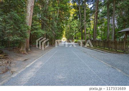 森町にある遠江国一宮小國神社の静かな参道の風景(静岡県) 森町にある遠江国一宮小國神社の静かな参道の風景(静岡県) 117331689