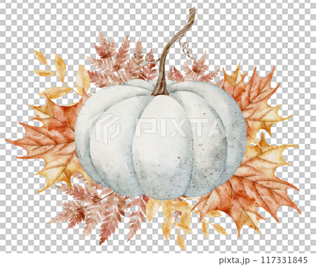 Watercolor Autumn white Pumpkin Illustration with Fall maple Leaves. Drawing of Botanical Seasonal Art for Thanksgiving and Halloween greeting cards or harvest festival invitations Watercolor Autumn white Pumpkin Illustration with Fall maple Leaves. Drawing of Botanical Seasonal Art for Thanksgiving and Halloween greeting cards or harvest festival invitations 117331845