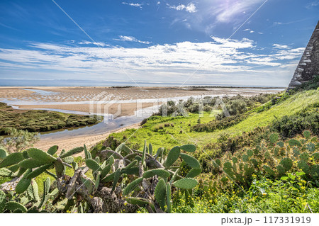 The beach of Cacela Velha in the Algarve region of southern Portugal. 117331919