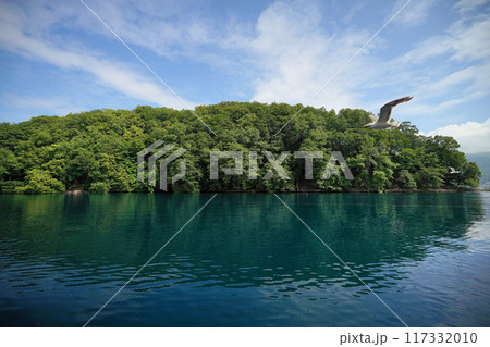 洞爺湖中島 洞爺湖中島 117332010
