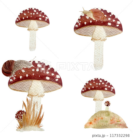 Fly agaric red wild mushroom and a snail textured watercolor seamless pattern isolated on white. Stylized autumn forest hand drawn clip art for kids products, cards, packages, wrapping paper, textile Fly agaric red wild mushroom and a snail textured watercolor seamless pattern isolated on white. Stylized autumn forest hand drawn clip art for kids products, cards, packages, wrapping paper, textile 117332298
