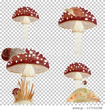Fly agaric red wild mushroom and a snail textured watercolor seamless pattern isolated on white. Stylized autumn forest hand drawn clip art for kids products, cards, packages, wrapping paper, textile Fly agaric red wild mushroom and a snail textured watercolor seamless pattern isolated on white. Stylized autumn forest hand drawn clip art for kids products, cards, packages, wrapping paper, textile 117332298