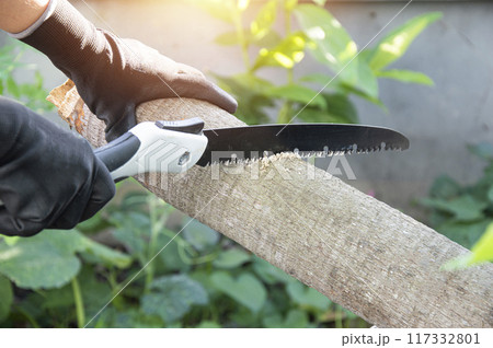 Use the saw for cutting trees, gardening, and pruning. Use the saw for cutting trees, gardening, and pruning. 117332801
