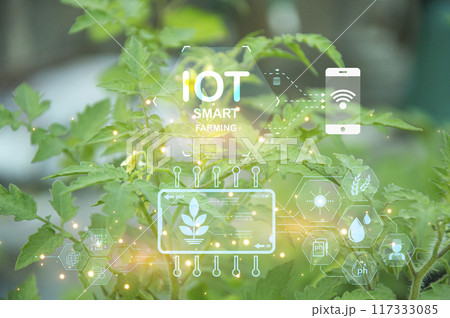 The concept of using AI and smart farming.. 117333085