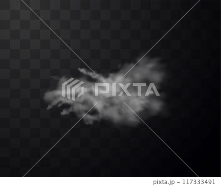 White powder explosion or dust burst with smoke realistic vector illustration, splash of flour or sand 117333491
