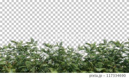 vegetation nature plant green natural environment foliage background 3d render. vegetation nature plant green natural environment foliage background 3d render. 117334690