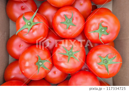 Close up photo of organic tomatoes in a box, selective focus. 117334725