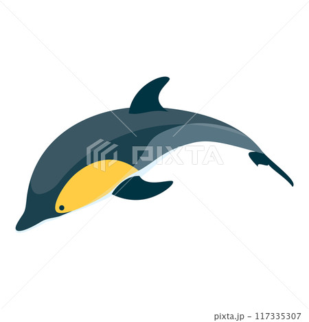 3D Isometric Flat Vector Set of Types Of Dolphins, Educational Classification. Item 5 117335307