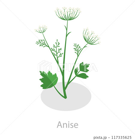 3D Isometric Flat Vector Set of Healing Herbs, Herbal Medicine. Item 4 3D Isometric Flat Vector Set of Healing Herbs, Herbal Medicine. Item 4 117335625