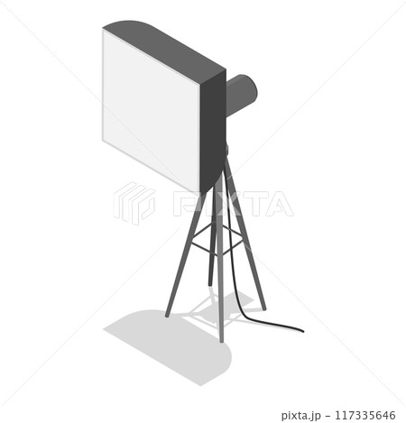3D Isometric Flat Vector Set of Photo Studio Equipment Items, Photographer Tools. Item 3 117335646