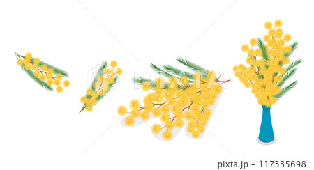 3D Isometric Flat Set of Mimosa, Flower Branch, Elegant Floral Decorations 3D Isometric Flat Set of Mimosa, Flower Branch, Elegant Floral Decorations 117335698