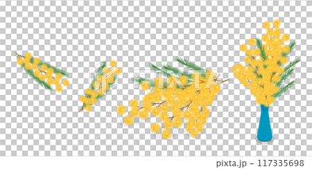 3D Isometric Flat Set of Mimosa, Flower Branch, Elegant Floral Decorations 3D Isometric Flat Set of Mimosa, Flower Branch, Elegant Floral Decorations 117335698