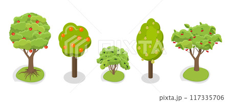 3D Isometric Flat Set of Fruit Tree, Garden Plants Cultivation 3D Isometric Flat Set of Fruit Tree, Garden Plants Cultivation 117335706