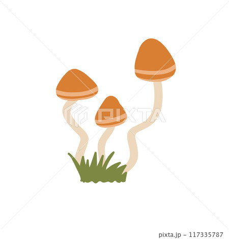 Three orange-capped mushrooms with slender, wavy stems grow out of a small patch of green grass, set against white background. The simple, minimalistic illustration exudes natural and whimsical feel. 117335787