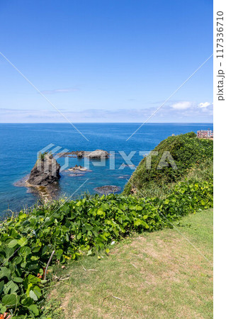 恋人岬 新潟県柏崎市 鴎が鼻展望台 恋人岬 新潟県柏崎市 鴎が鼻展望台 117336710