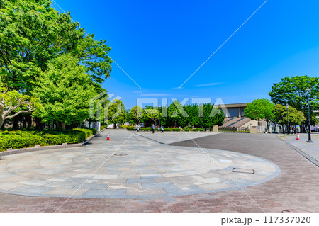 神奈川県　横須賀市　バラが咲き誇る ヴェルニー公園 117337020