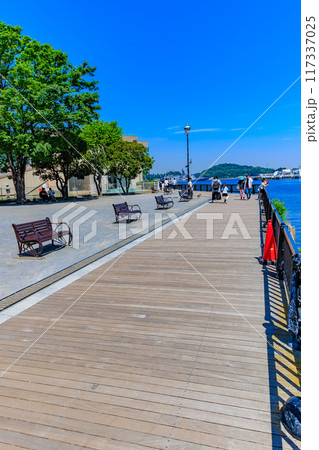 神奈川県　横須賀市　バラが咲き誇る ヴェルニー公園 117337025