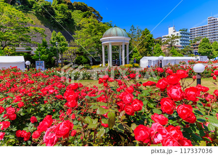 神奈川県　横須賀市　バラが咲き誇る ヴェルニー公園 117337036