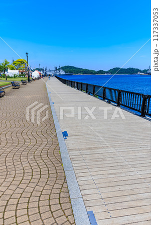 神奈川県 横須賀市 バラが咲き誇る ヴェルニー公園 神奈川県 横須賀市 バラが咲き誇る ヴェルニー公園 117337053
