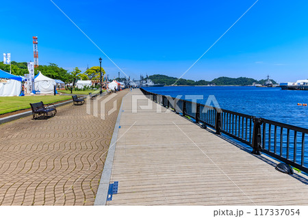 神奈川県　横須賀市　バラが咲き誇る ヴェルニー公園 117337054