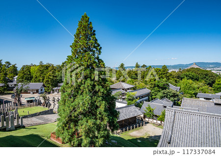 東大寺二月堂より眺める良弁杉と奈良市街 117337084