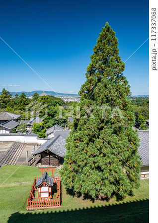 東大寺二月堂の良弁杉 117337088