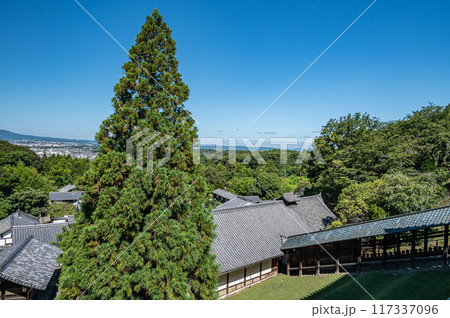 東大寺二月堂の良弁杉 東大寺二月堂の良弁杉 117337096