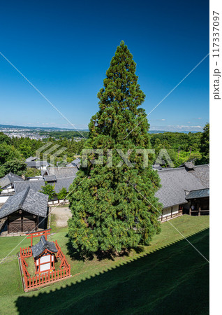 東大寺二月堂の良弁杉 117337097