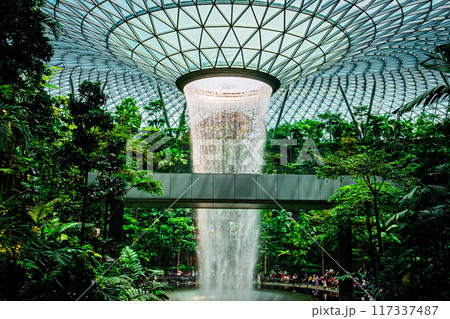 シンガポール　チャンギ空港の風景 117337487