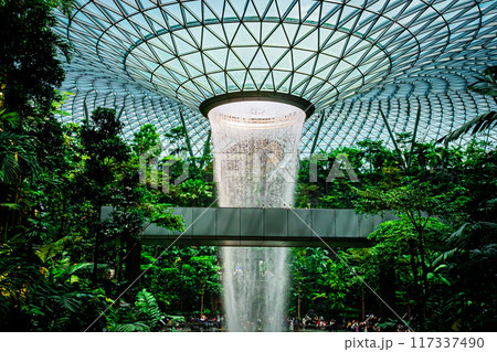 シンガポール　チャンギ空港の風景 117337490