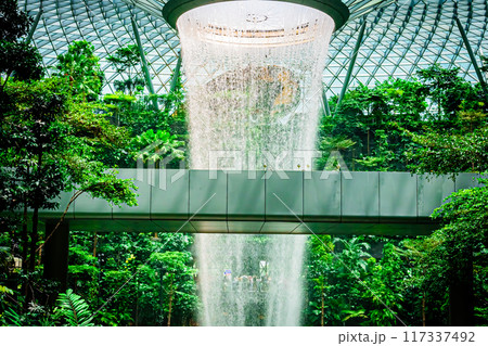 シンガポール チャンギ空港の風景 シンガポール チャンギ空港の風景 117337492