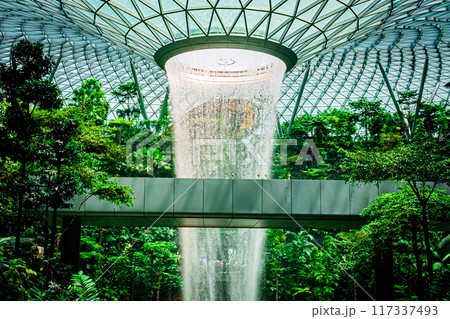 シンガポール チャンギ空港の風景 シンガポール チャンギ空港の風景 117337493