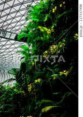 シンガポール　チャンギ空港の風景 117337496