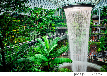 シンガポール チャンギ空港の風景 シンガポール チャンギ空港の風景 117337526