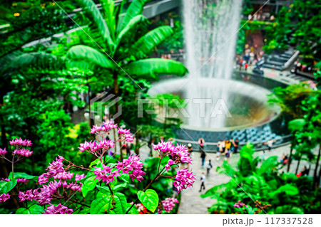 シンガポール チャンギ空港の風景 シンガポール チャンギ空港の風景 117337528