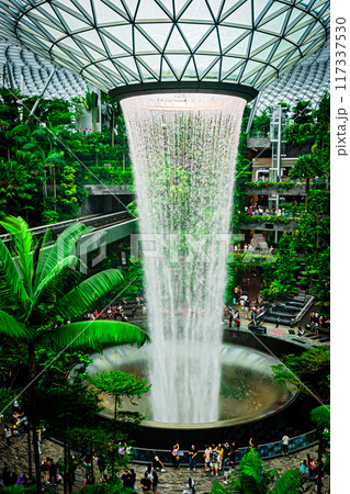 シンガポール チャンギ空港の風景 シンガポール チャンギ空港の風景 117337530